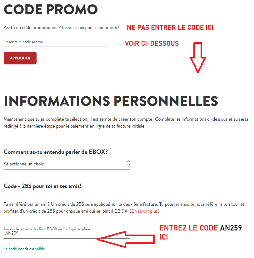 Capture d'écran montrant où entrer le code promo EBOX AN259